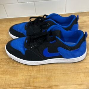 Nike SB Alleyoop Sneakers